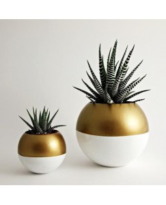 Set of 2 Plant Container Set